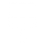 Brush Icon